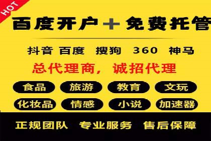 百度广告投放策略优化的经典案例